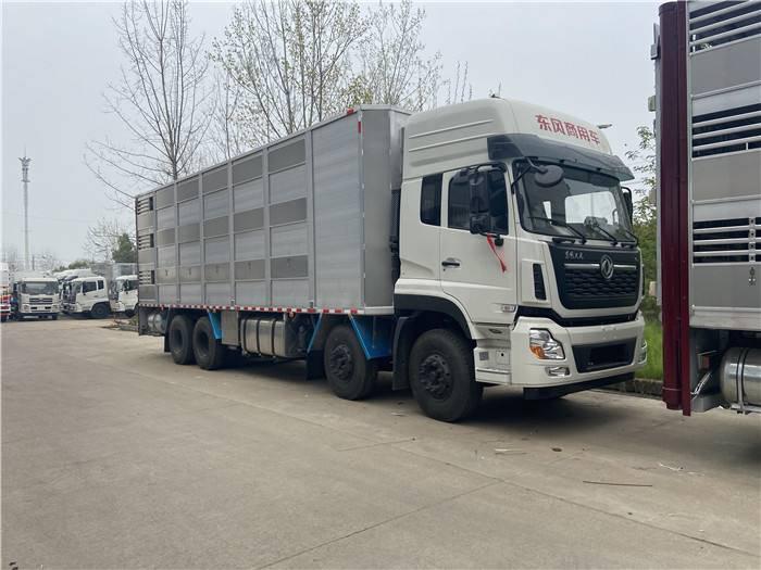 上?；踉顺盗?></div>
                        <div   id=